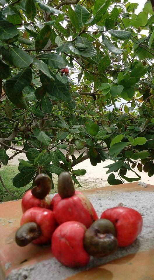 Casa Na Praia Com Piscina Costa Dourada Esterno foto